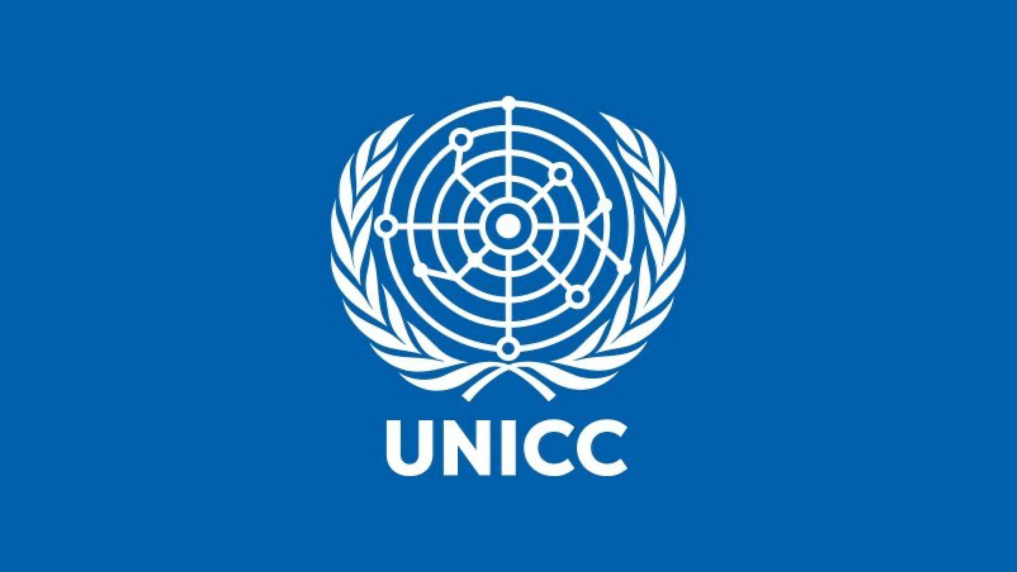 United Nations International Computing Centre